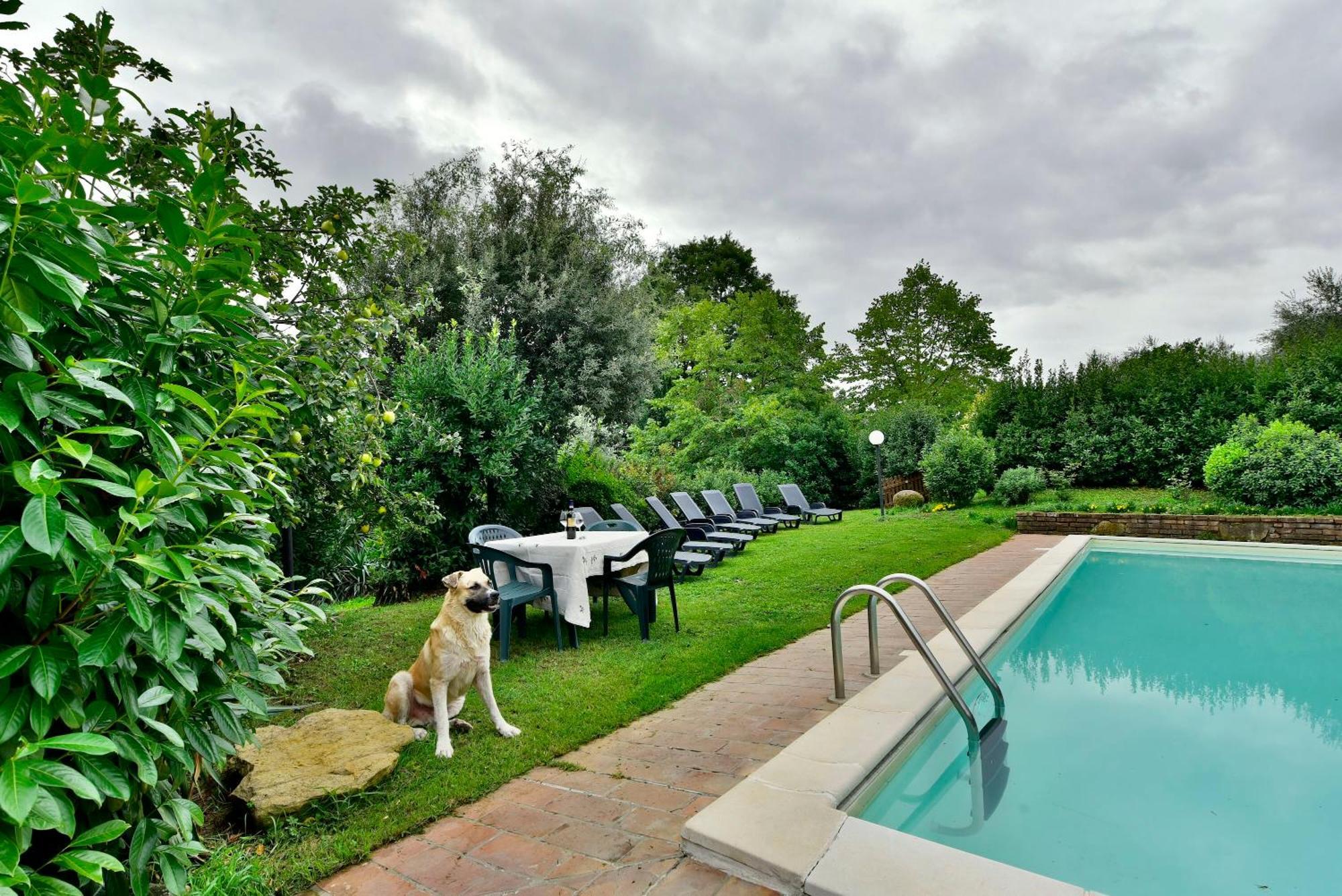 Agriturismo Corvaia Radicofani Exterior foto